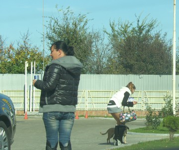 Proxenet la 17 ani: îşi scotea iubita minoră la „produs”, la Cernavodă